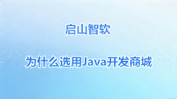 启山智软为什么用Java开发商城