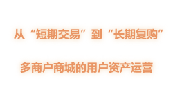 多商户商城的用户资产运营