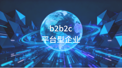 b2b2c平台型企业