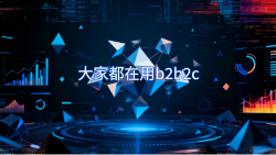 大家都在用b2b2c